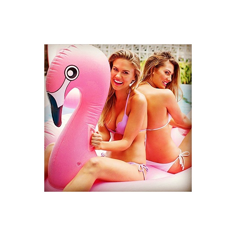 Matelas Gonflable Flamingo Matelas Cygne Lit Gonflable Île de Bain Île de  Natation 200 x 160 cm