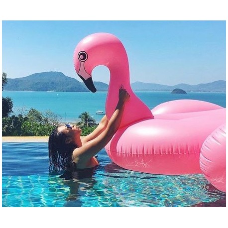 Gonflable Flamant Rose, Flotteur De Piscine Gonflable Flamant Rose, Radeau  De Piscine Pour Adultes Et Les Enfants[u758] - Cdiscount Jeux - Jouets