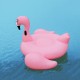 Light Pink Flamingo giant inflatable Pool Float