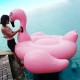 Light Pink Flamingo giant inflatable Pool Float