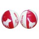 Ballons de Plage Personnalisables