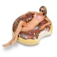 Chocolate Donut inflatable pool float