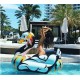 Colorful Swan Giant pool float