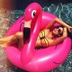 Pink flamingo