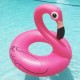 Pink flamingo