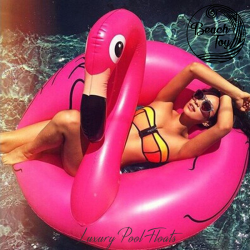 Pink flamingo