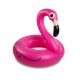 Pink flamingo